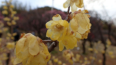 p2174659_thumb.jpg