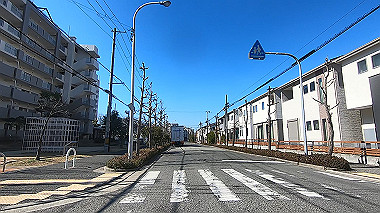 gx017603.mp4_snapshot_00.23_thumb.jpg