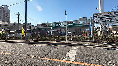 gx017610.mp4_snapshot_00.17_thumb.jpg