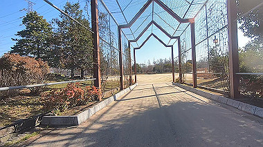gx017615.mp4_snapshot_00.12_thumb.jpg