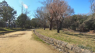 gx017615.mp4_snapshot_00.54_thumb.jpg