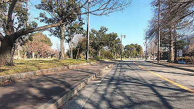 gx017615.mp4_snapshot_01.31_thumb.jpg
