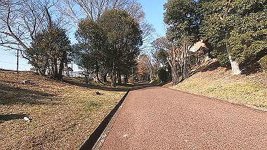 gx017620.mp4_snapshot_00.02_thumb.jpg