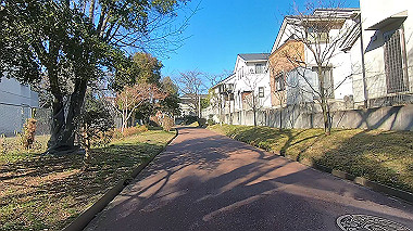 gx017620.mp4_snapshot_00.38_thumb.jpg