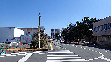 p2274664_thumb.jpg