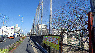 p2274670_thumb.jpg