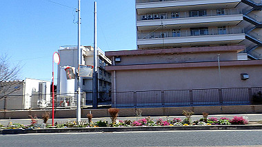 p2274672_thumb.jpg