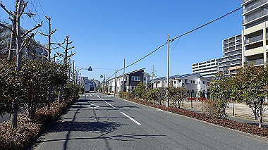 p2274682_thumb.jpg