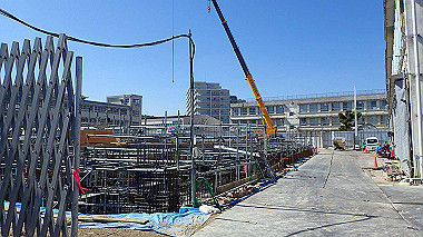 p2274686_thumb.jpg