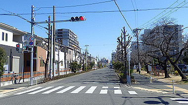 p2274691_thumb.jpg