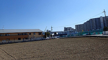 p2274708_thumb.jpg