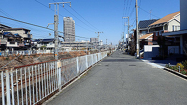 p2274709_thumb.jpg