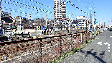 p2274711_thumb.jpg