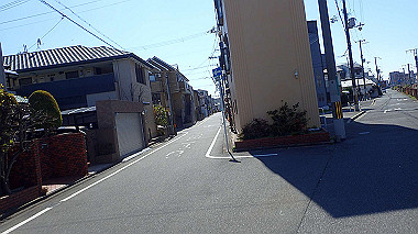 p2274713_thumb.jpg