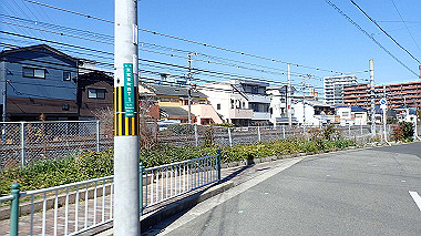 p2274740_thumb.jpg
