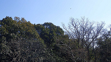 p2274749_thumb.jpg