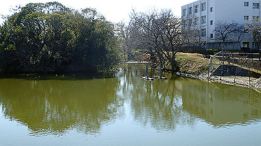 p2274752_thumb.jpg