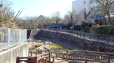 p2274755_thumb.jpg