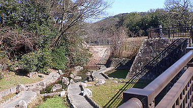 p2274756_thumb.jpg