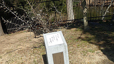 p2274761_thumb.jpg