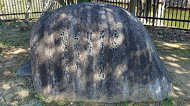 p2274762_thumb.jpg