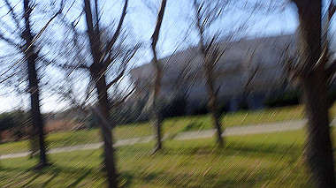 p2274763_thumb.jpg