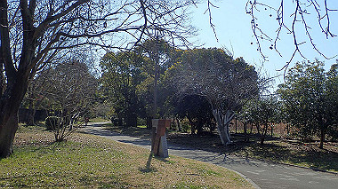 p2274765_thumb.jpg