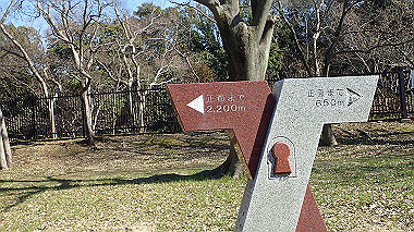p2274767_thumb.jpg