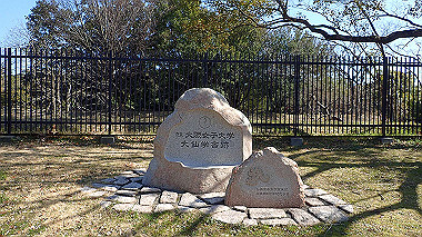 p2274768_thumb.jpg