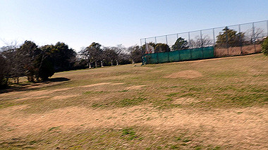 p2274769_thumb.jpg