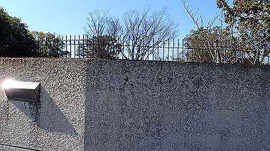 p2274771_thumb.jpg