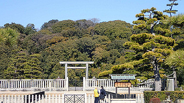 p2274775_thumb.jpg