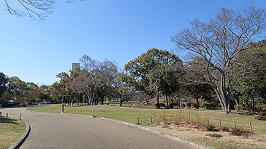 p2274780_thumb.jpg