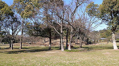 p2274781_thumb.jpg