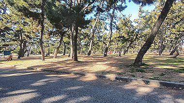 gx017627.mp4_snapshot_00.19_thumb.jpg