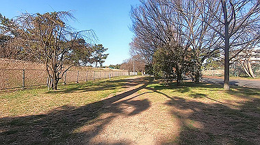gx017629.mp4_snapshot_00.09_thumb.jpg