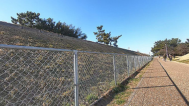 gx017629.mp4_snapshot_00.56_thumb.jpg