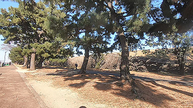 gx017630.mp4_snapshot_00.04_thumb.jpg