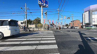 gx017637.mp4_snapshot_02.14_thumb.jpg
