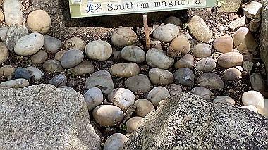 2023-03-19_11-52-44_641_thumb.jpg