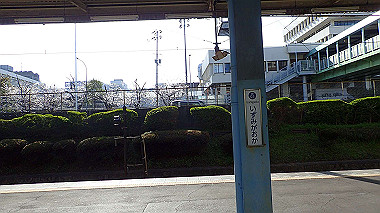 p3284791_thumb.jpg