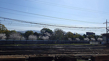p3284795_thumb.jpg