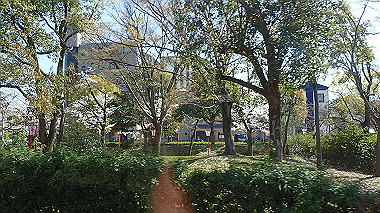 p3284804_thumb.jpg