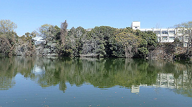 p3284814_thumb.jpg