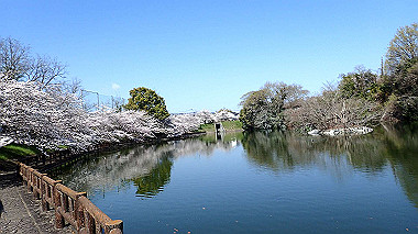 p3284816_thumb.jpg