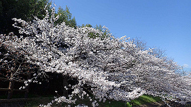 p3284817_thumb.jpg