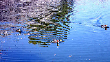 p3284820_thumb.jpg