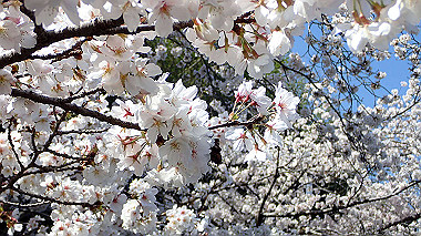 p3284821_thumb.jpg