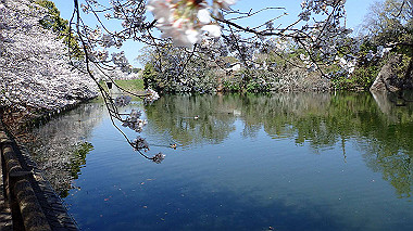 p3284825_thumb.jpg