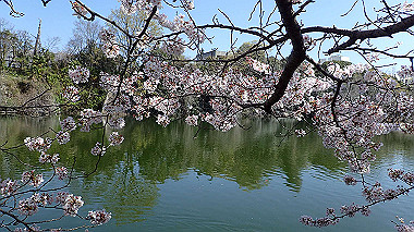 p3284831_thumb.jpg
